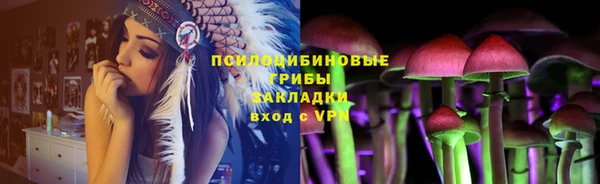 бошки Новозыбков