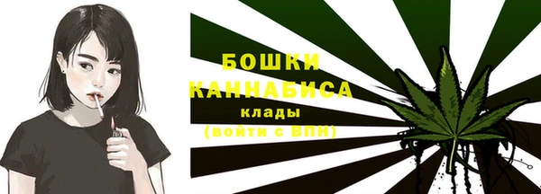 бошки Новозыбков