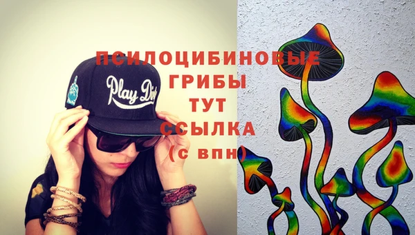 бошки Новозыбков