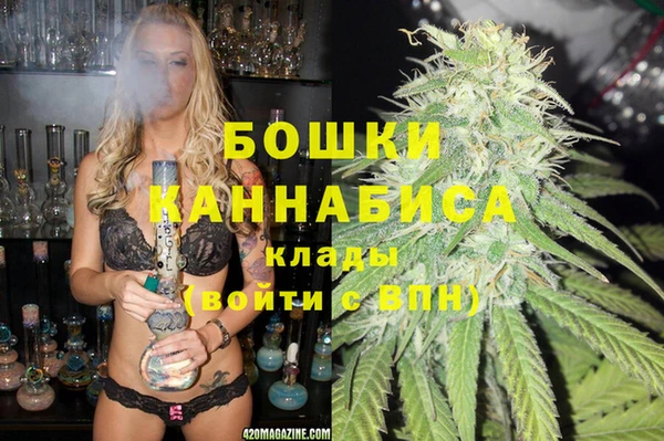бошки Новозыбков