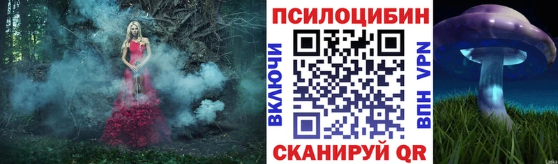 цена   Константиновск  Псилоцибиновые грибы мицелий 